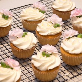 cupcakes